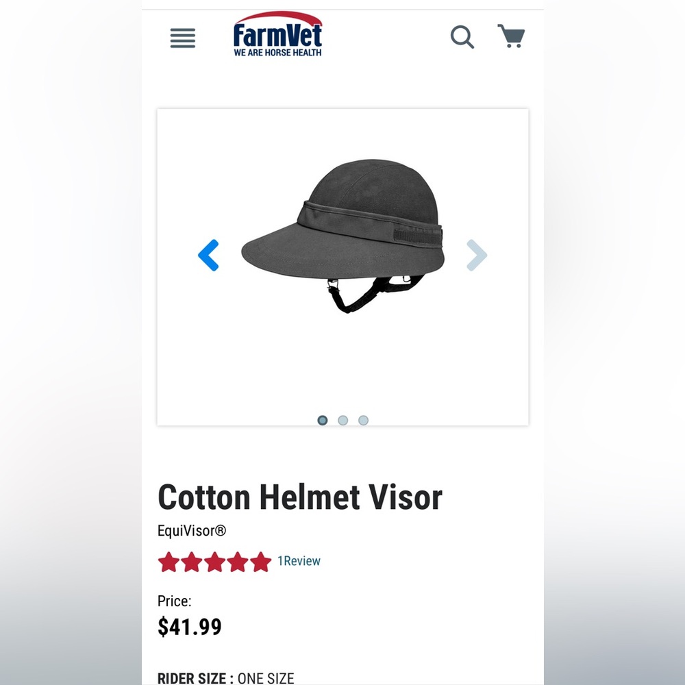Equestrian Helmet Visor